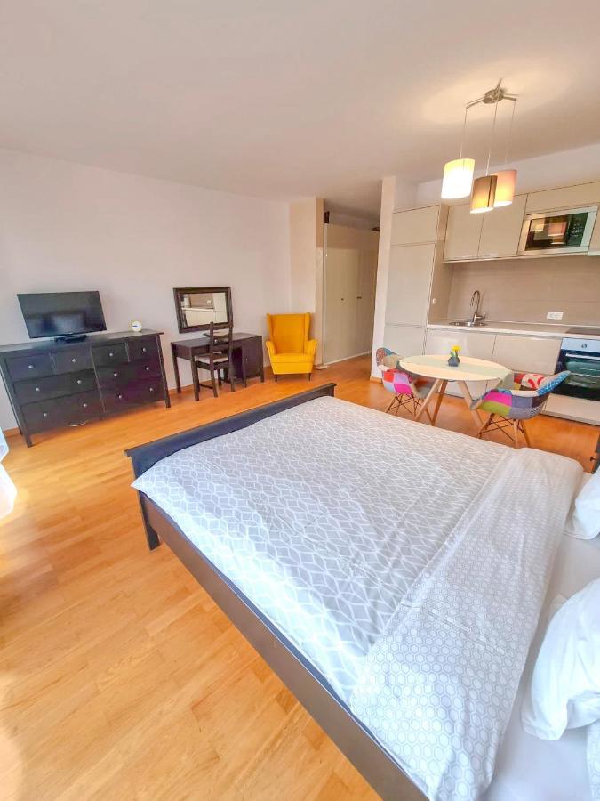 Downtown Premium Apartments Braşov Buitenkant foto